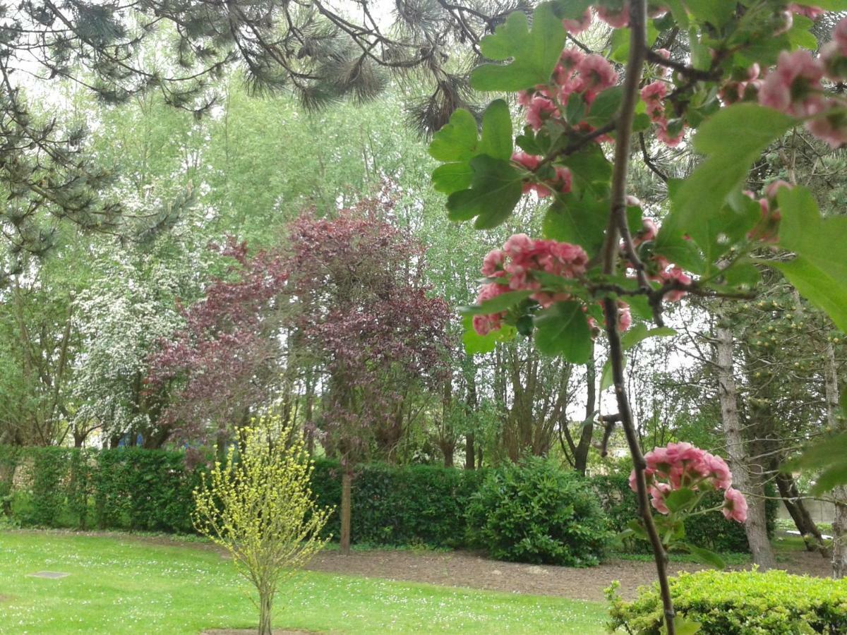 Chambre D'Hotes Les Hortensias Rang-du-Fliers Kültér fotó